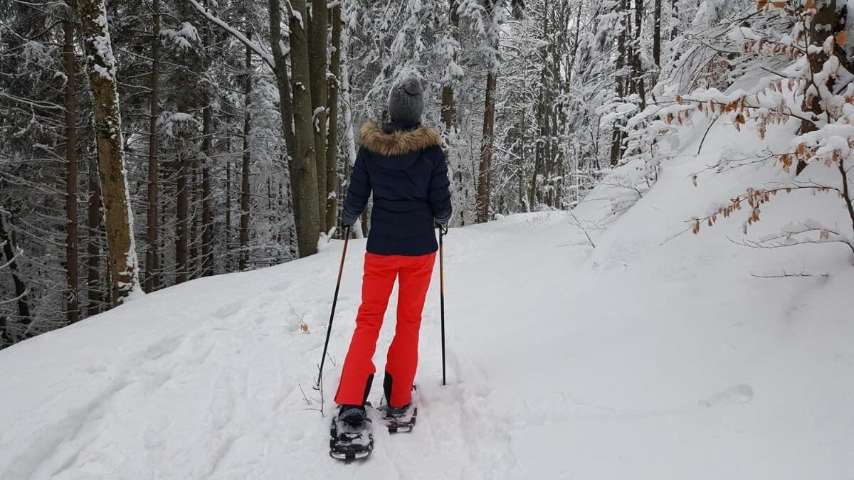 Chic Familiale, Relaxant Avec Spa En Montagnes Labelle Kültér fotó