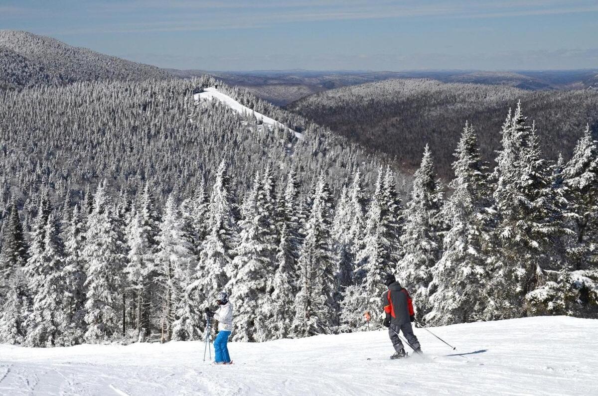 Chic Familiale, Relaxant Avec Spa En Montagnes Labelle Kültér fotó